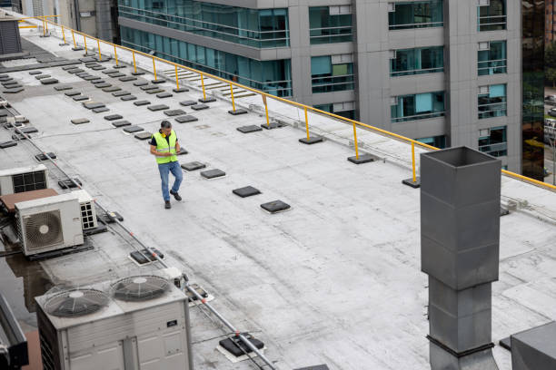 Best Skylight Installation and Repair  in Mounds View, MN