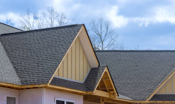 Best Roof Insulation Installation  in Mounds View, MN